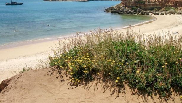 A coastal beach with clear waters, a sandy shore, and rocky outcrops. - Cristina by Interhome (Conil de la Frontera)