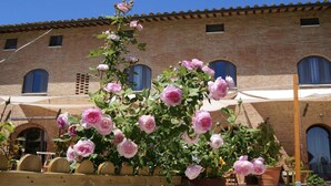 Un jardín con rosas rosadas en flor frente a un edificio de ladrillo con ventanas arqueadas y techo de tejas.