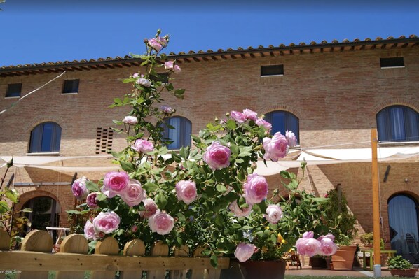 Um jardim com rosas cor-de-rosa em flor em frente a um edifício de tijolos com janelas em arco e telhado em telhas.