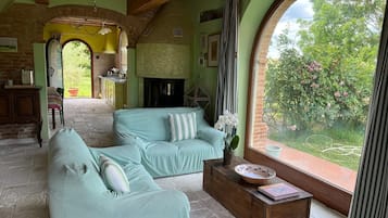 Smart TV, fireplace, books