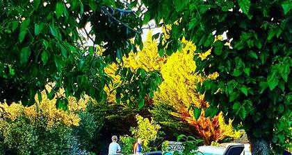 Private Pool in Cottage