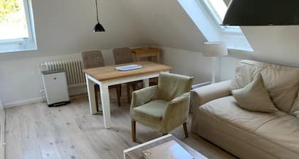 Cozy vacation apartment under the roof