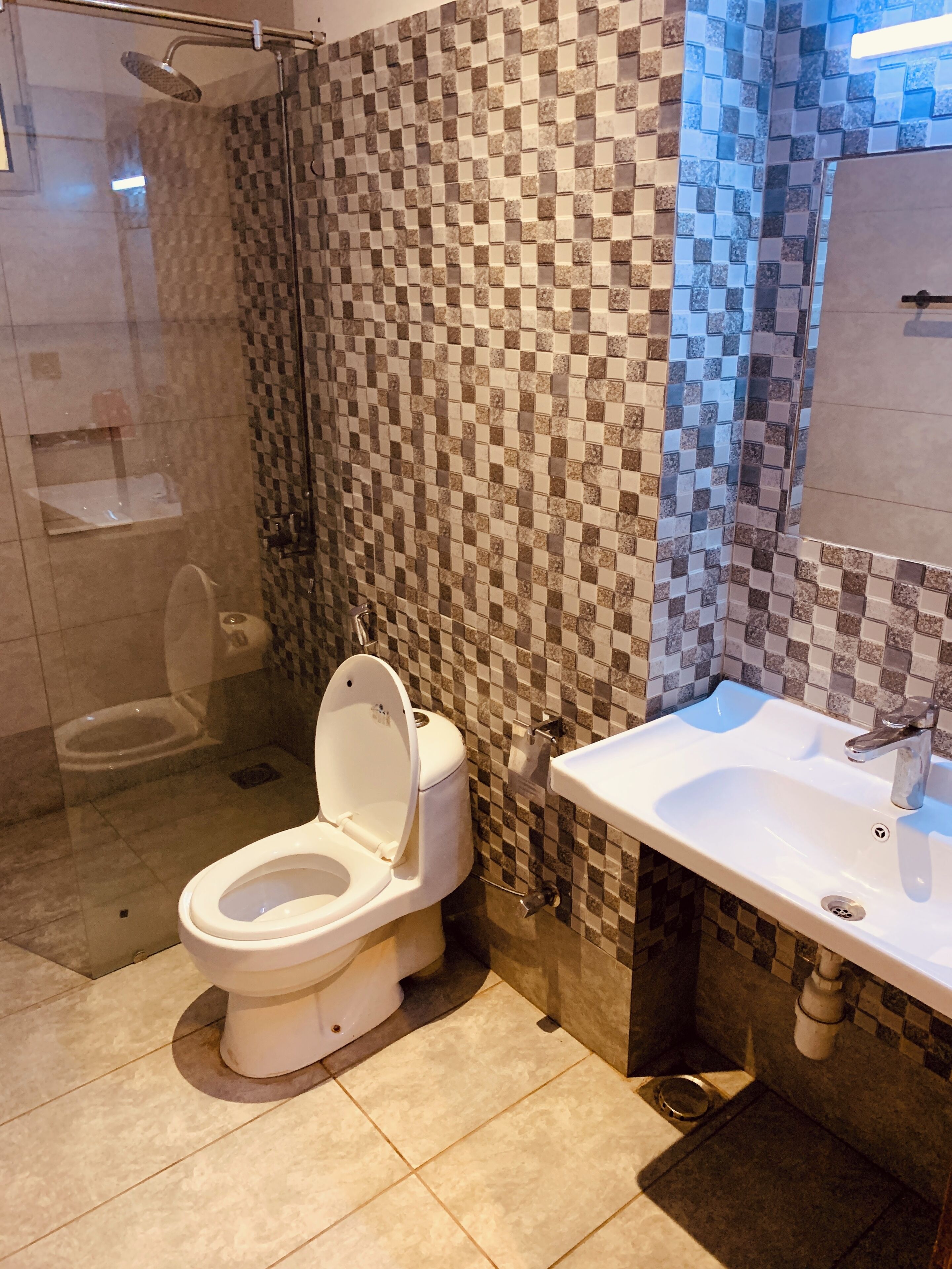 A bathroom with a toilet, sink, and shower area.