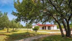 Una casa a un piano con tetto rosso, circondata da alberi e un vialetto sterrato.