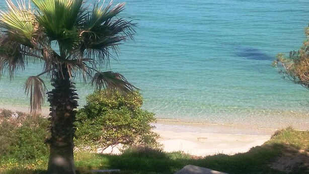 A beach with clear turquoise water, a palm tree, and a rocky shoreline. - Cozy 3-Room Apartment with Balcony, Garage, Near Golf - Le Lavandou (Le Lavandou)