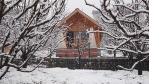 Una cabaña de madera con techo inclinado, rodeada de árboles cubiertos de nieve.