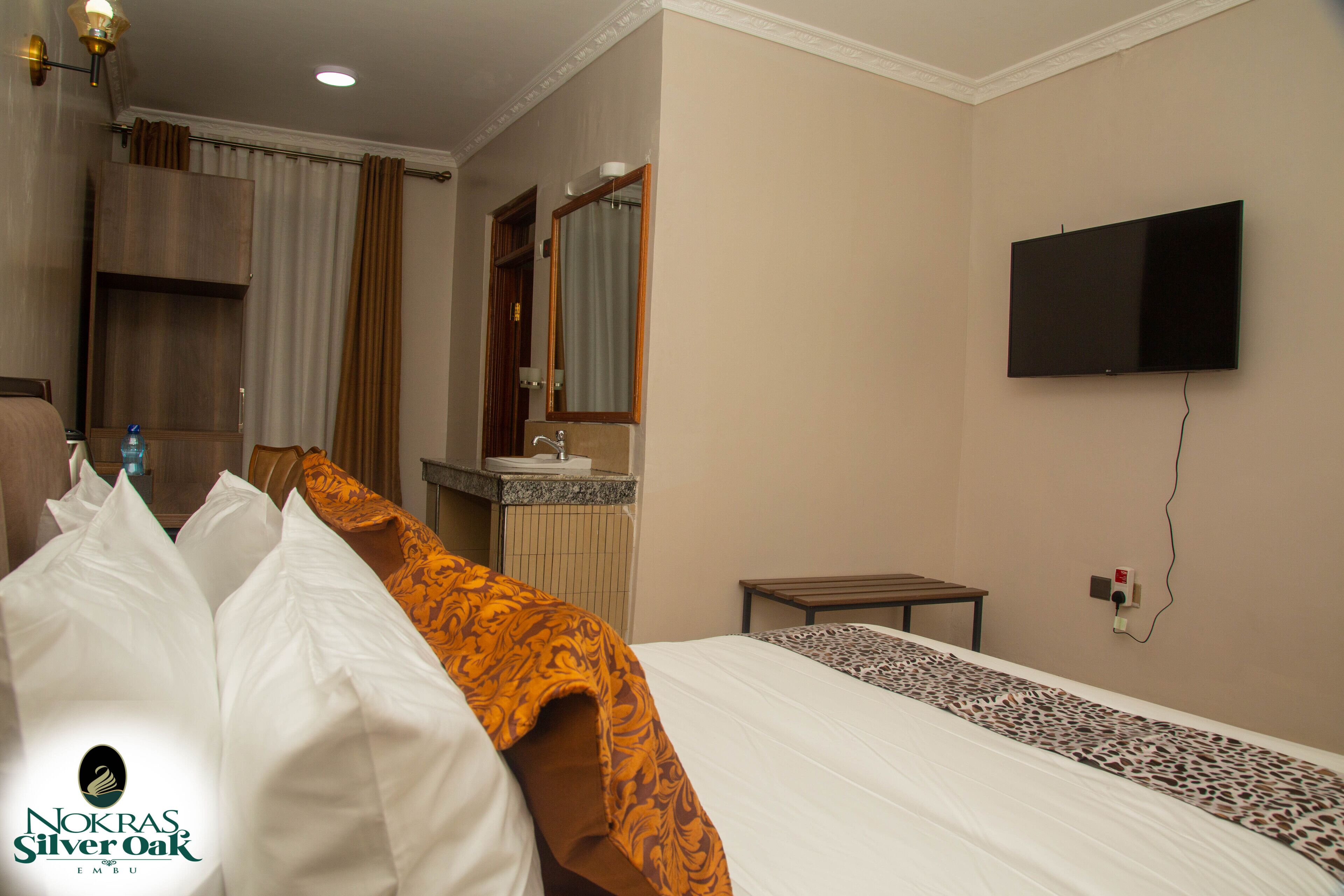Habitación de hotel con cama, televisión montada en la pared, baño con lavabo y espejo, y armario.