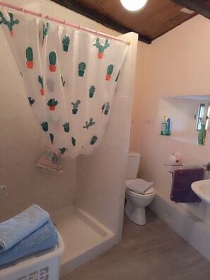 Regadera, toallas, papel de baño