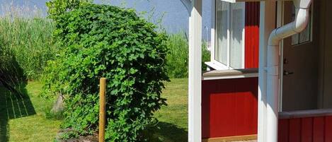 Overnatningsstedets område