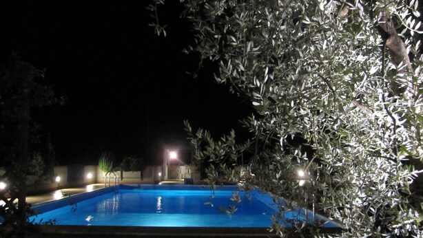 Ein Schwimmbecken bei Nacht, umgeben von Bäumen und einigen Lichtern.