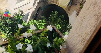 The Residence "Pierino's House" is located in the historical center of Bari