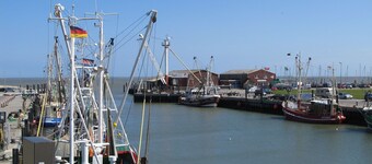 Apartment windward and leeward