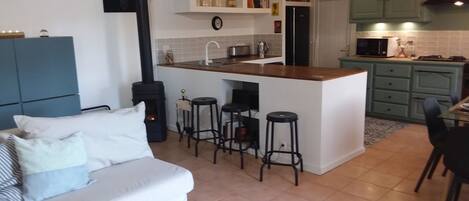 Smart TV, fireplace, books, music library