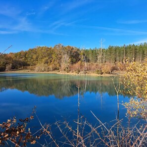 Photo non classée, 5 sur 31, bouton