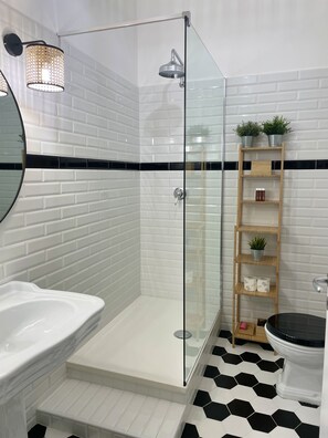 Shower, hair dryer, bidet, towels