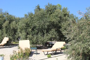 Property grounds - Olive Garden House (Festos)