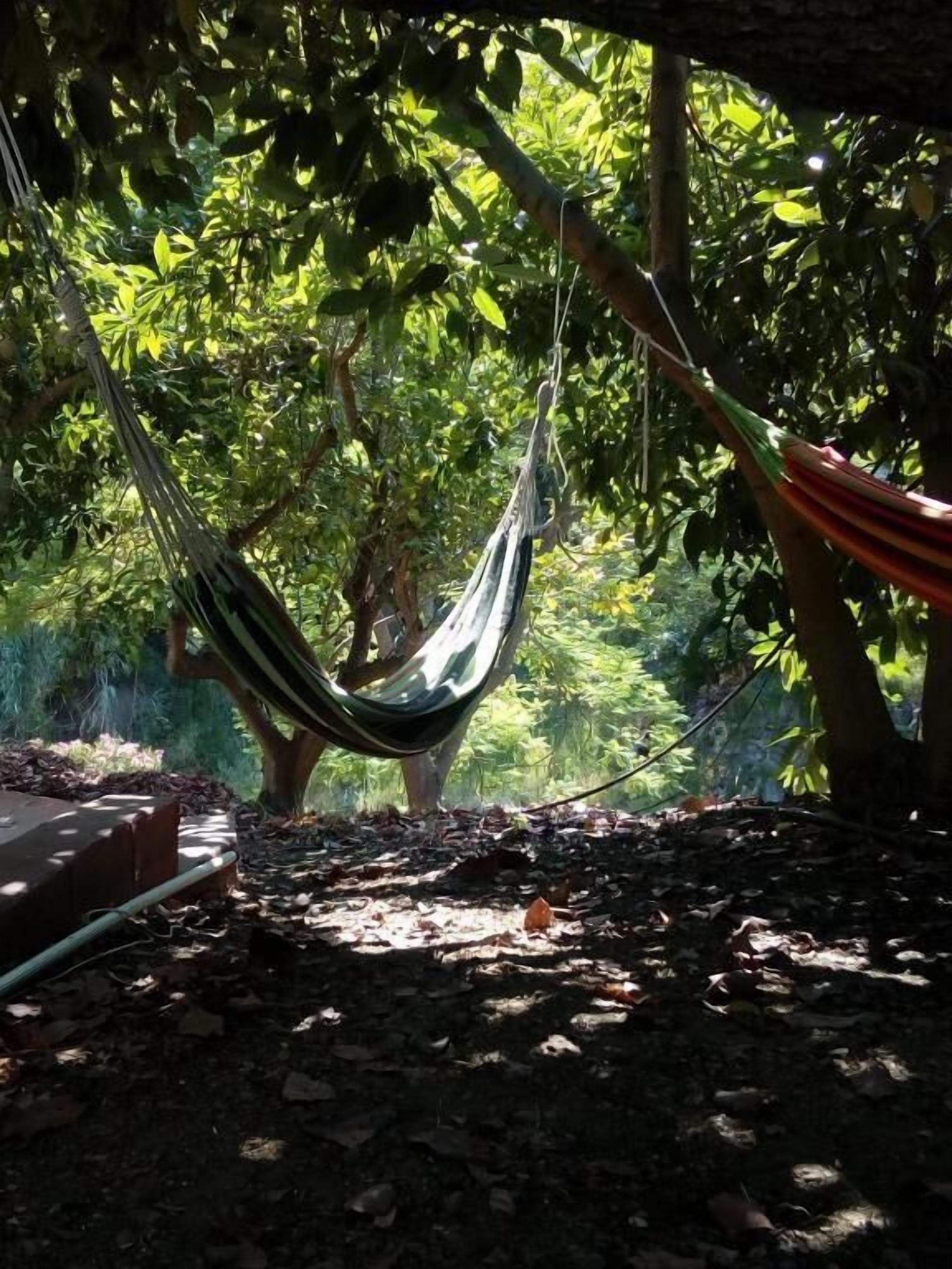 Photo - B&B rural El Oasis