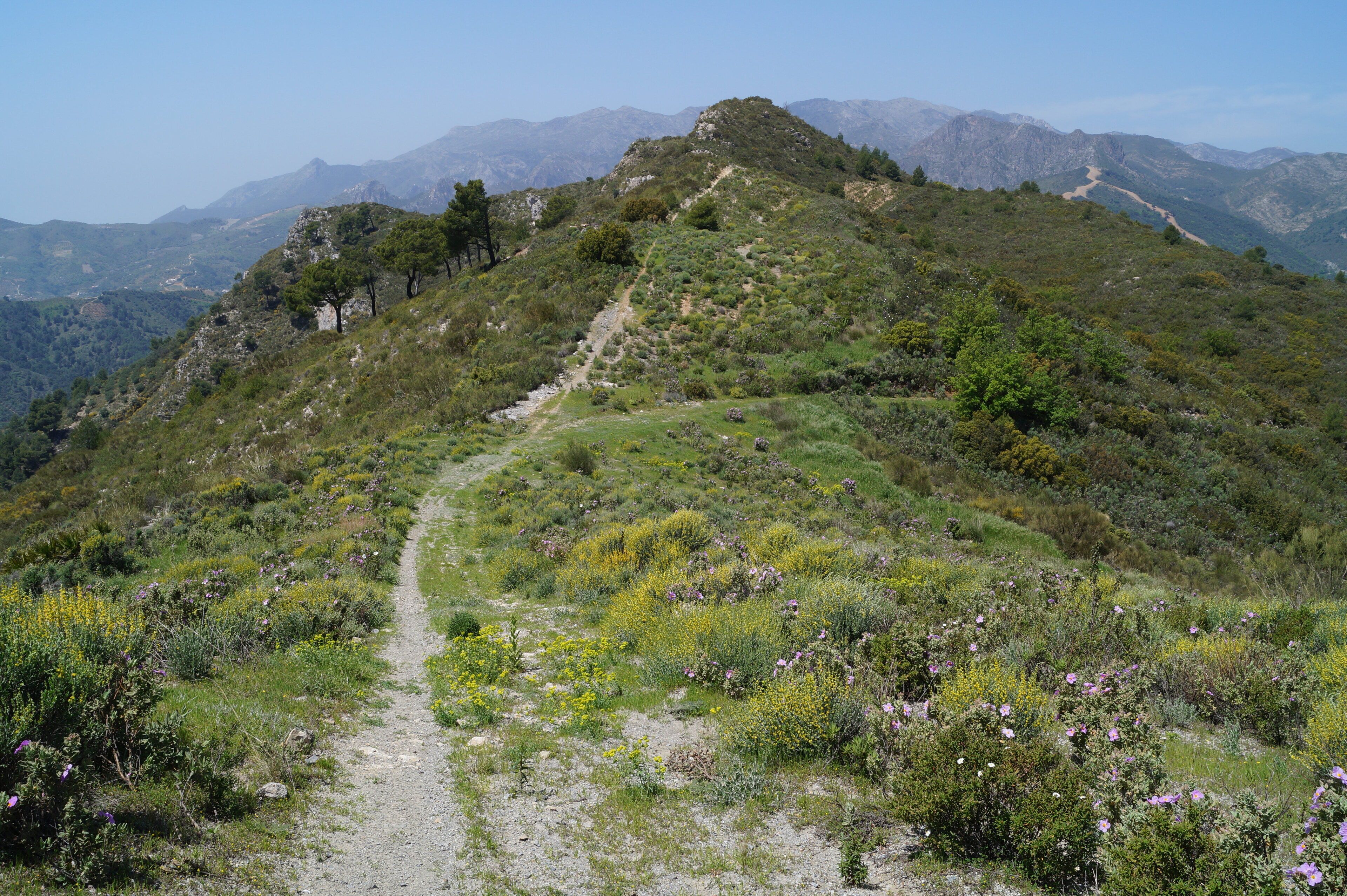 Photo - B&B rural El Oasis