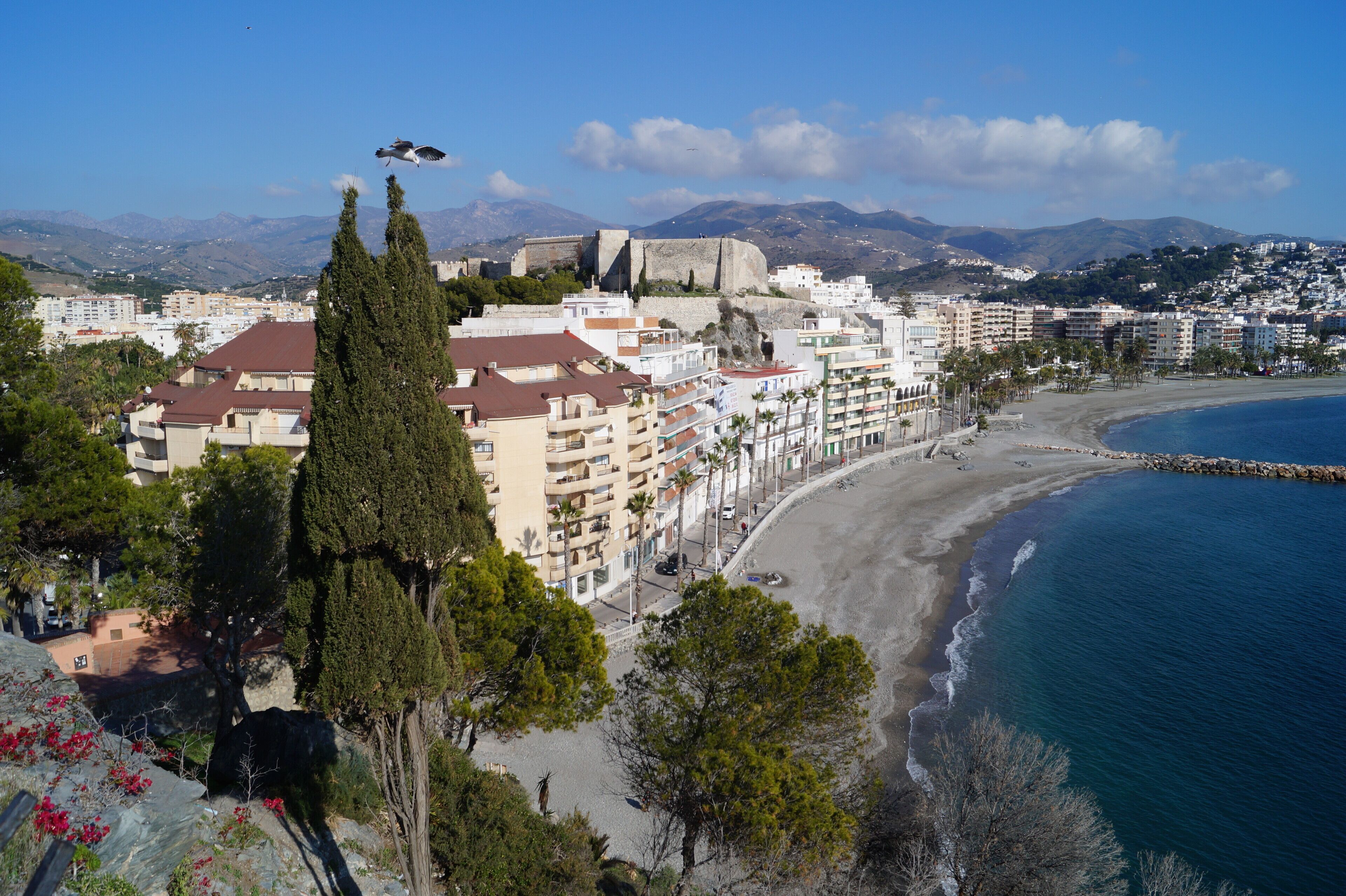 Photo - B&B rural El Oasis