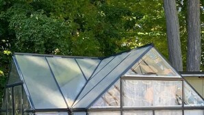 A greenhouse structure with a glass roof and walls, a potted plant inside, and a grassy area in front. - Beach House 5 Star Gem +Muskoka room + Yoga Studio (Innisfil)