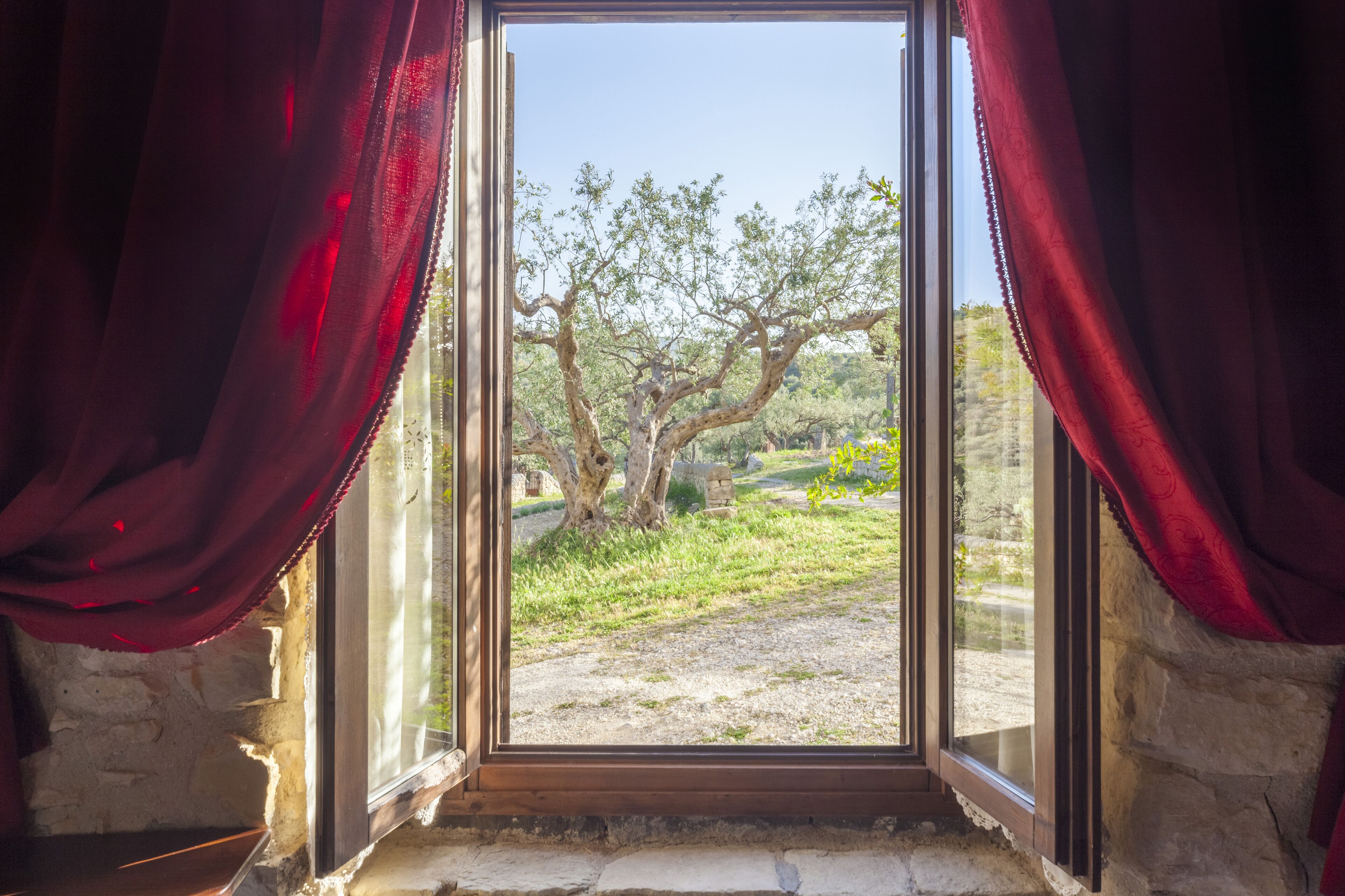 Classic Quadruple Room | View from room