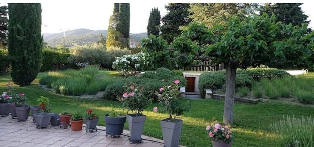 Un jardín con plantas en macetas, un sendero y un edificio al fondo.