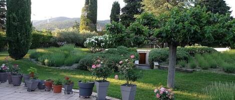 Un jardín con plantas en macetas, un sendero y un edificio al fondo.