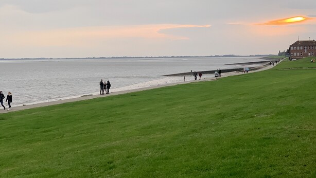 Eine Wiese mit einem Gewässer und einem Gebäude im Hintergrund.