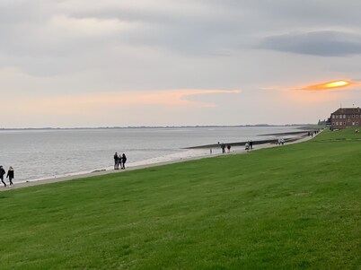 Central but quiet with optimal shopping facilities - 10 minutes to the beach