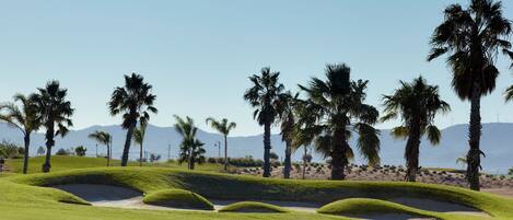 A well-maintained golf course with sand bunkers and palm trees.