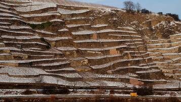 Terraced vineyards with a river in the foreground.