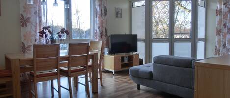 Fernseher, Stereoanlage