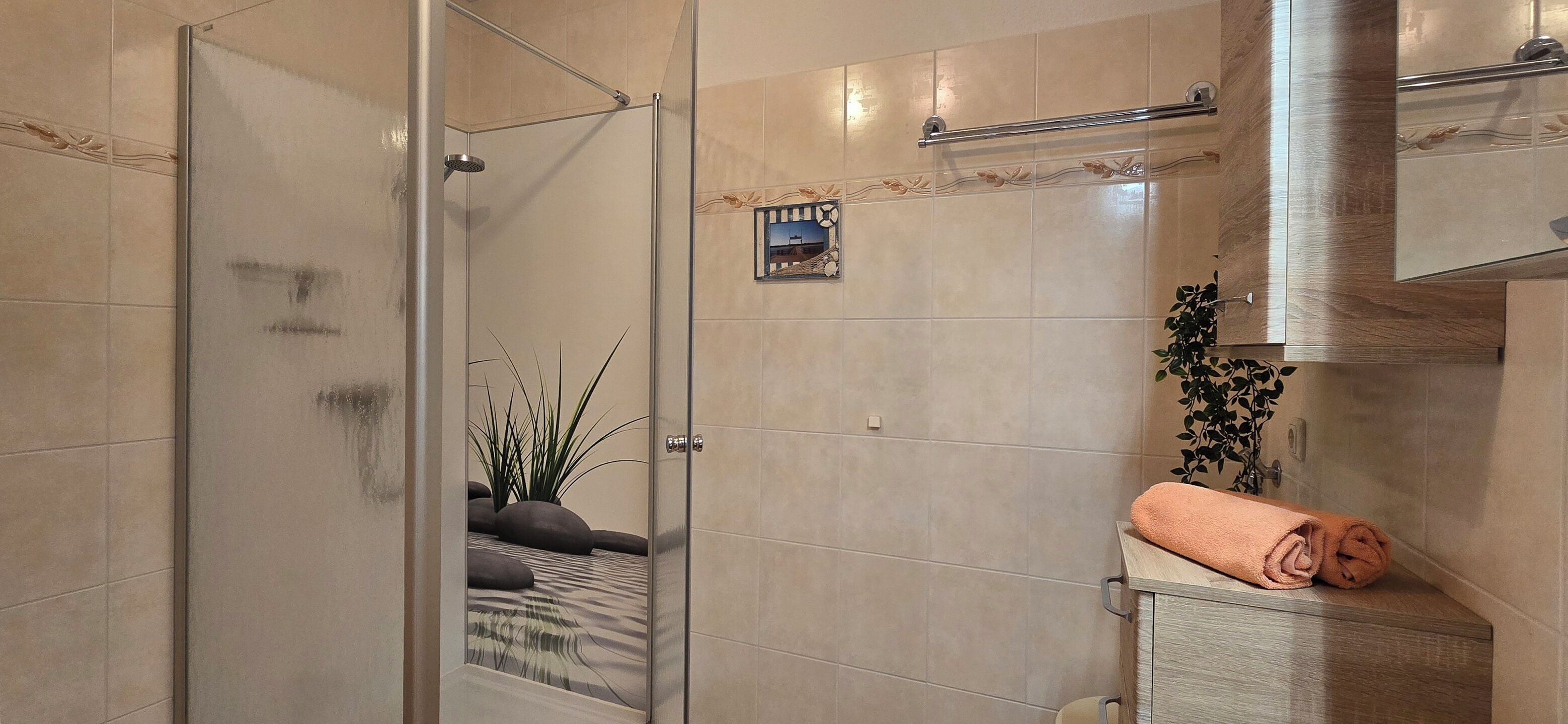 Ein modernes Badezimmer mit Duschabtür aus Glas, einem Handtuchhalter und einer kleinen Dekorfliese.