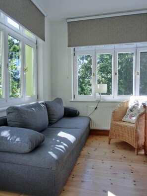 Fernseher