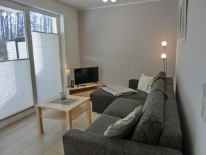 Fernseher, Stereoanlage