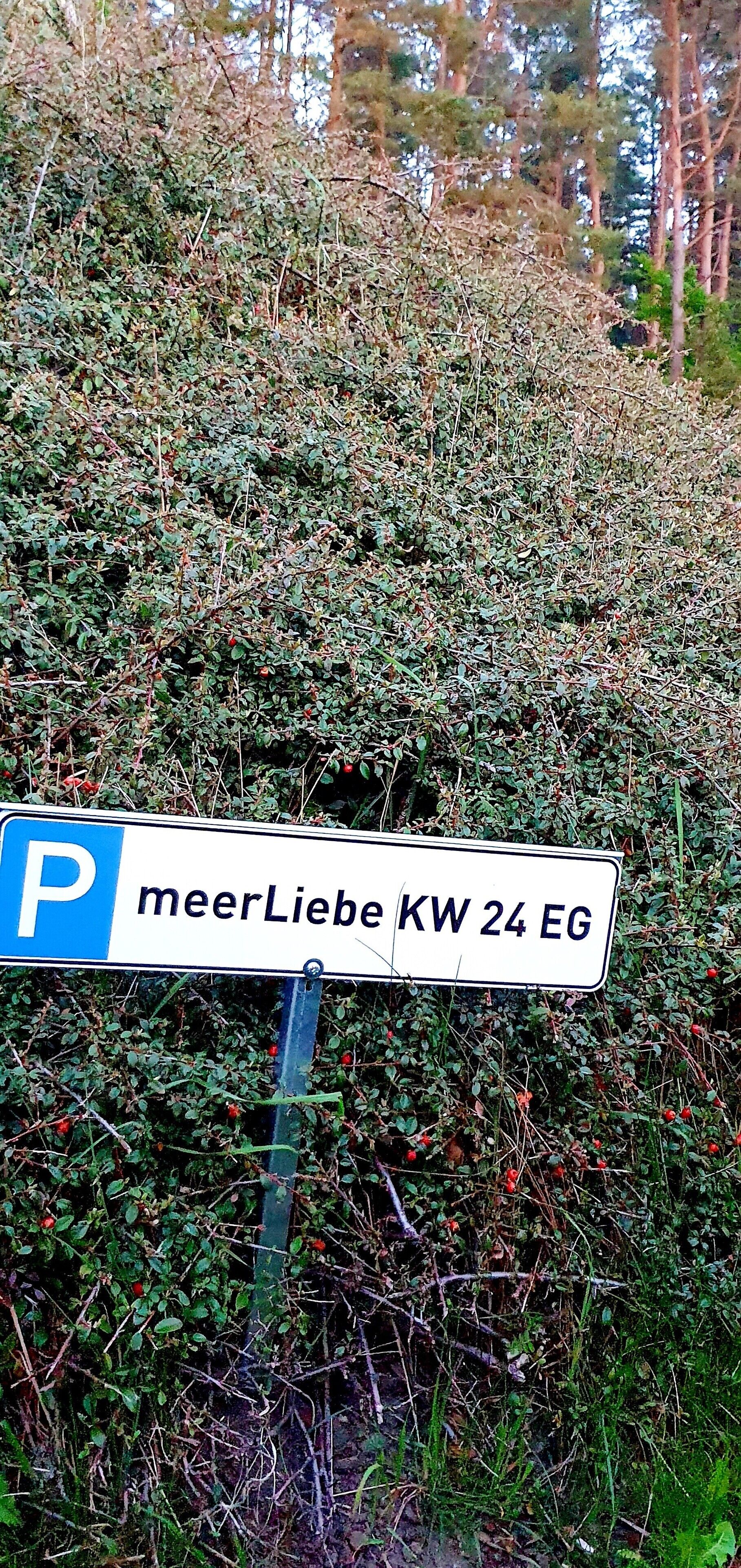 Un panneau de signalisation indiquant un espace de stationnement, avec l'inscription « mehrLiebe KW 24 EG », entouré d'un feuillage dense.