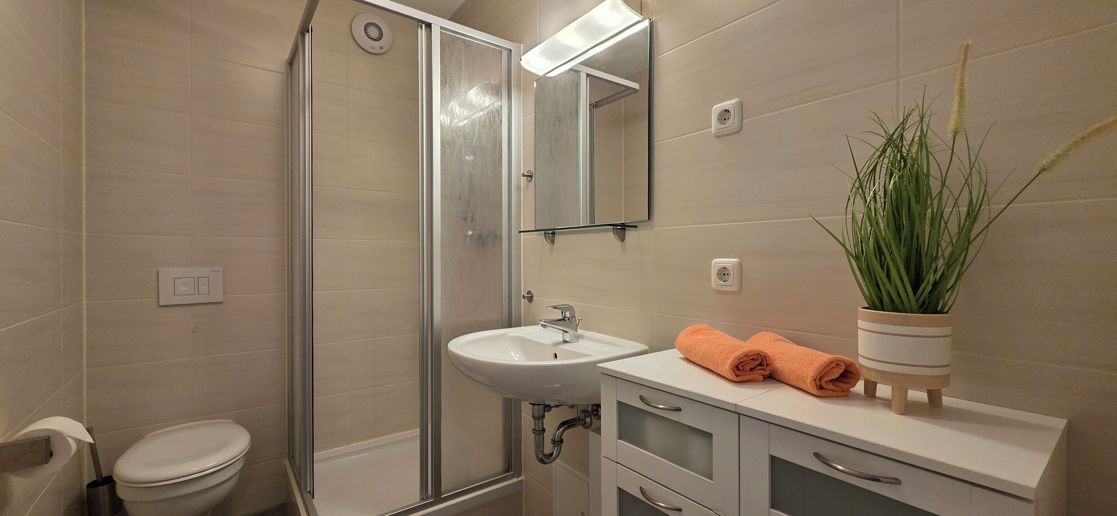 Ein modernes Badezimmer mit einer Duschkabine aus Glas, einem weißen Waschbecken und einem Spiegel darüber. Auf der Ablage steht ein Blumentopf und auf der Arbeitsfläche ein aufgerolltes Handtuch.