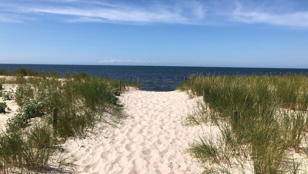 Ein sandiger Strandweg führt zum Meer, begleitet von spärlicher Vegetation an beiden Seiten.