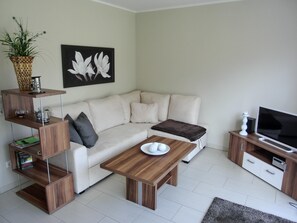 Fernseher, Stereoanlage