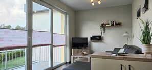 Tv, dvd-spelare och en stereo
