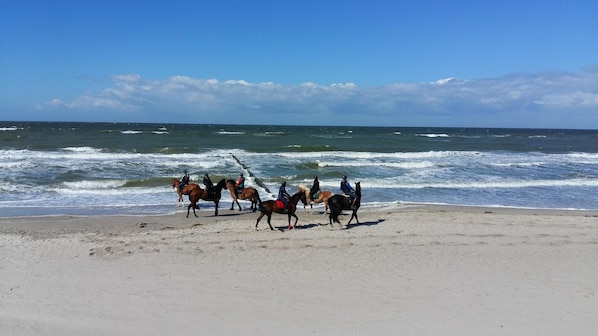 Strand
