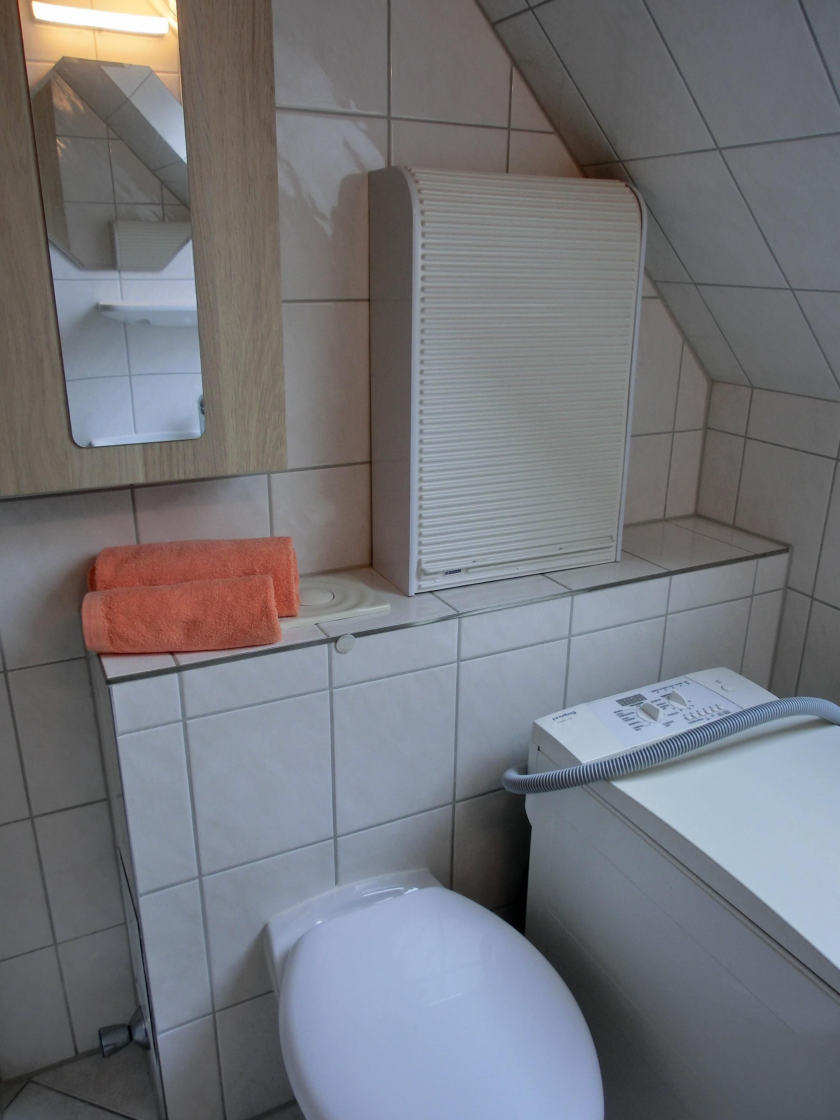 Un bagno con il water, uno specchio, un portascopino e un termosifone.