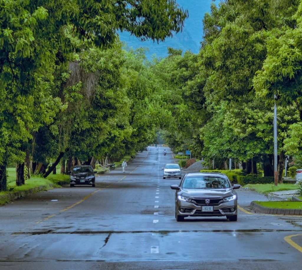 A tree-lined road with cars parked on the side.