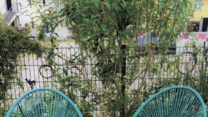 Deux chaises turquoise au motif radial, placées sur de l’herbe, avec une clôture et de la verdure en arrière-plan.