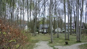 Un camí que condueix a una filera d'habitatges envoltats d'arbres.