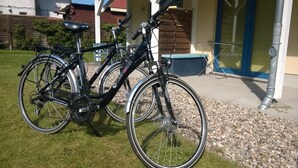 Two bicycles parked on a grassy area in front of a building with a blue door and a window with blinds. - Modern 2-room vacation apartment for 3 people with bicycles and WLAN (Graal-Müritz)