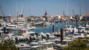 A marina with numerous boats docked, surrounded by buildings with red-tiled roofs. - Le Concorde, appartement face mer (Saint-Gilles-Croix-de-Vie)