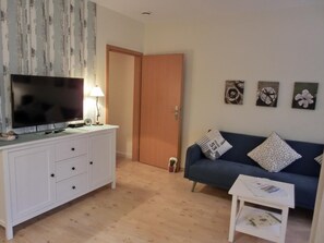 Fernseher, Stereoanlage