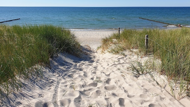 Een zandpad langs het strand, omringd door gras.