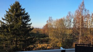 Une vue depuis un balcon donnant sur une zone boisée, où se côtoient des arbres à feuilles persistantes et des arbres à feuilles caduques.